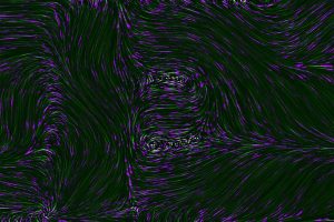 Photo Neural Network