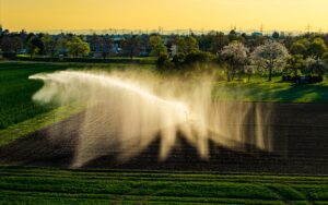Photo Drip irrigation