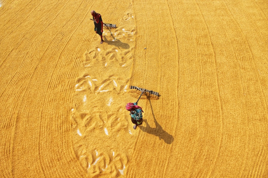 climate change agriculture Middle East