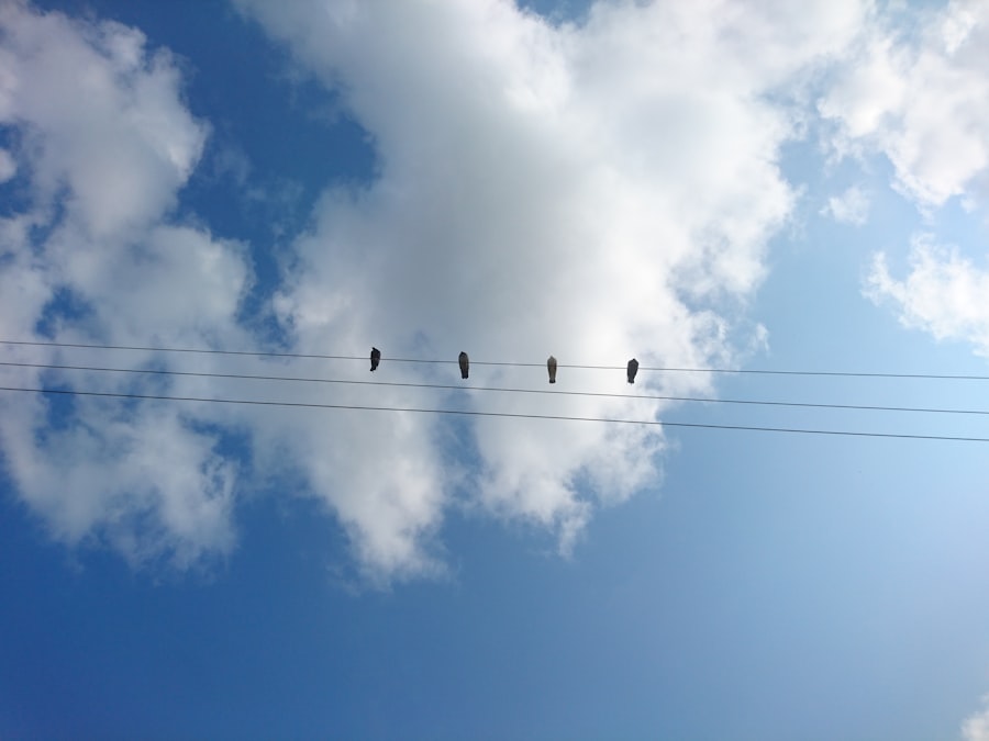 High-speed connectivity
