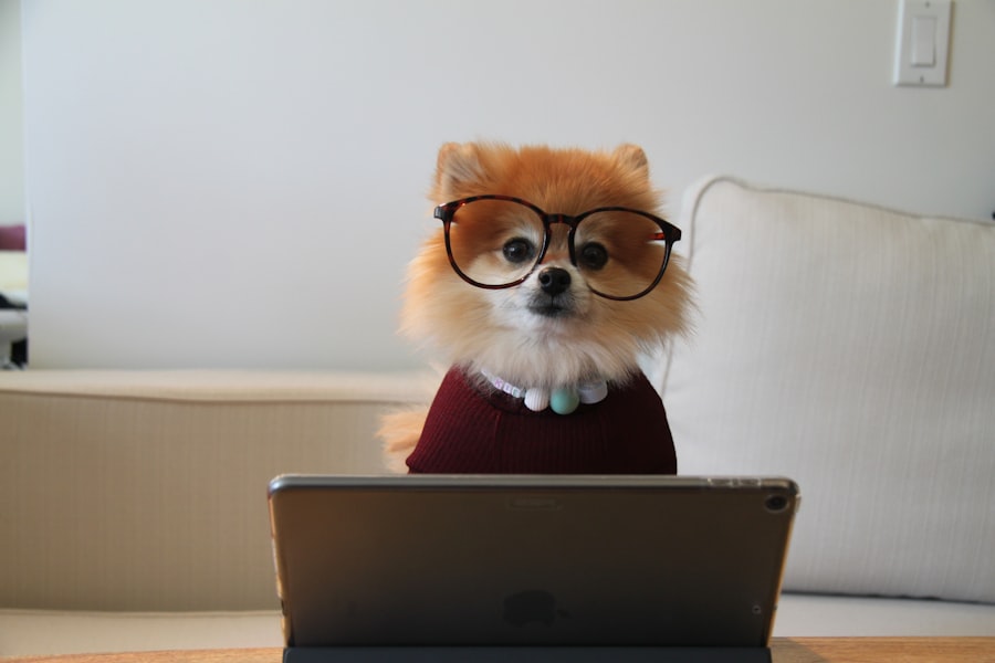 Photo Typing tutor