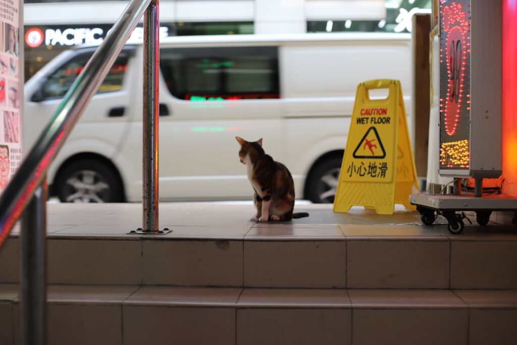 Photo Security alert