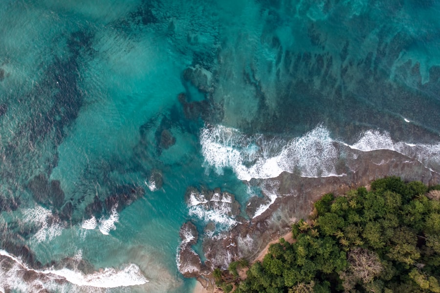 Photo Ocean biodiversity