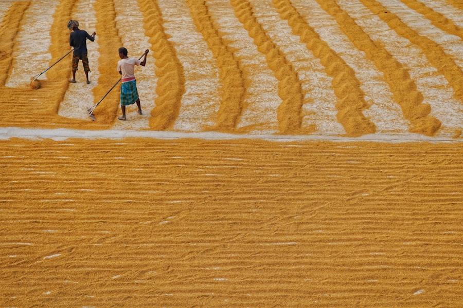 Photo Global Food Security