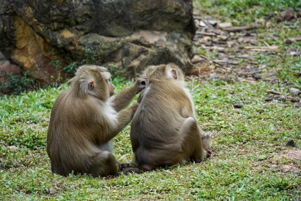 Photo Couple arguing