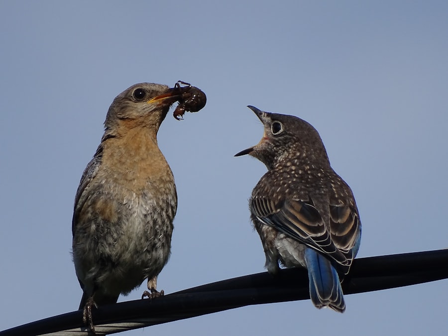 Photo Couple arguing