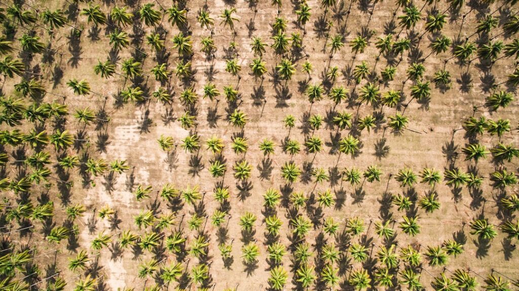 Photo climate change agriculture Middle East
