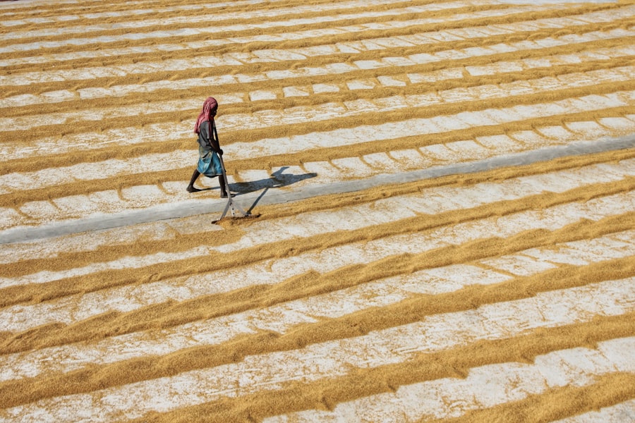 Photo climate change agriculture Middle East