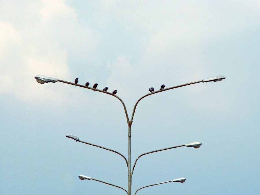 professional networking