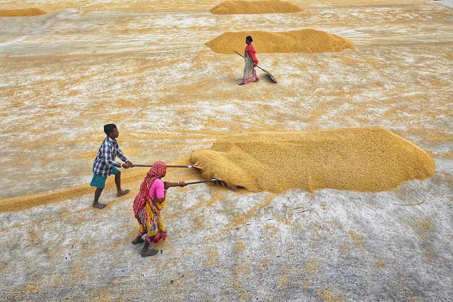 climate change agriculture South Asia