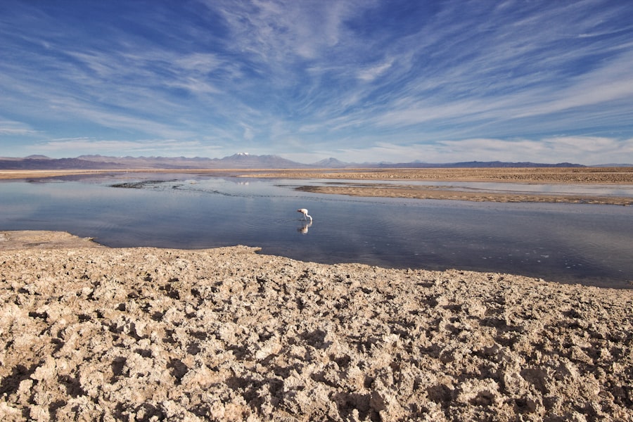 climate change impact on water resources