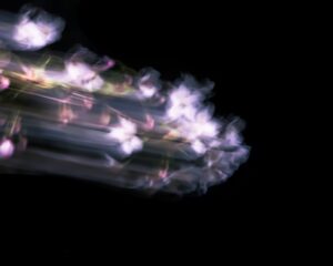 Photo Increase Internet Speed Android
