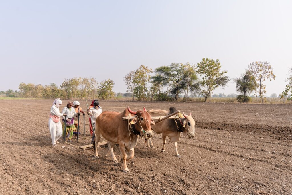 Photo climate change agriculture South Asia