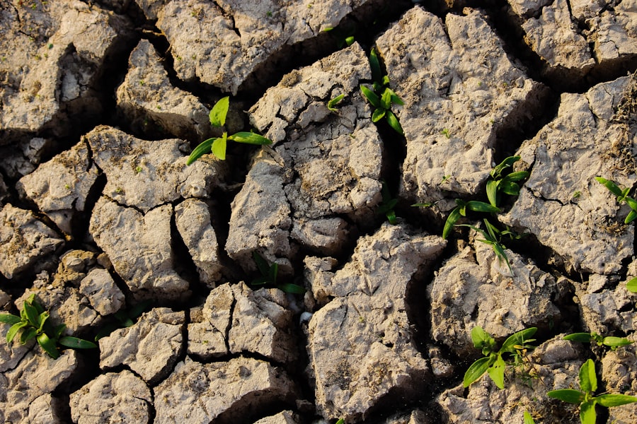 Photo climate change impact on water resources