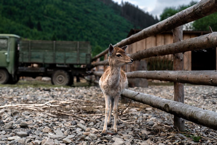 Photo climate change impact on animal wealth in Asia