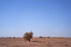 Photo climate change agriculture North Africa