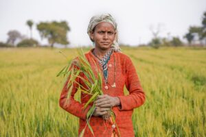Photo climate change agriculture South Asia