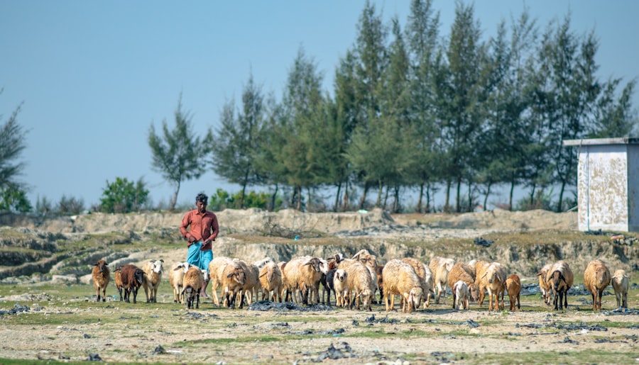Photo climate change impact on animal wealth in Asia
