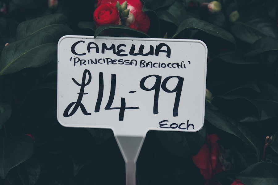 Photo Dynamic Pricing
