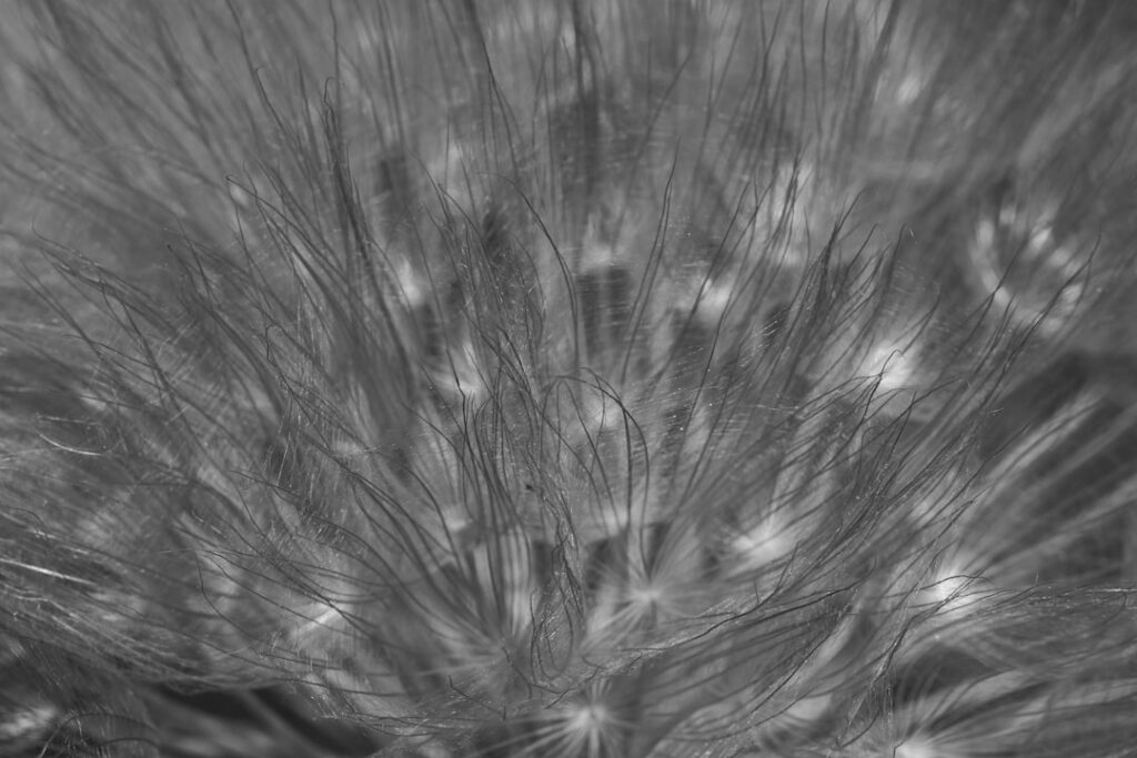 Photo nutrition and neurological diseases