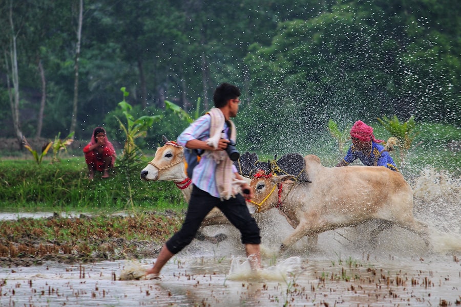Photo climate change impact on animal wealth in Asia