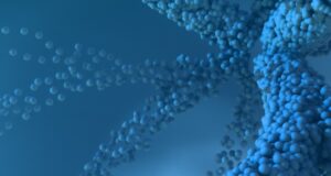 Photo Bioinformatics