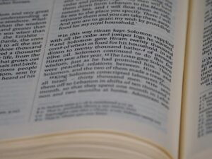 Photo educational content creation