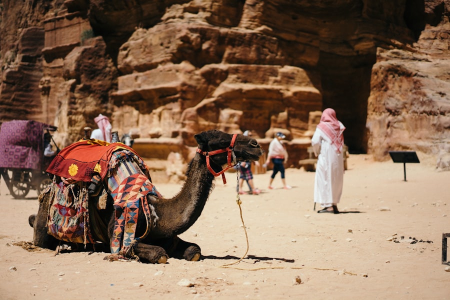 Photo Middle East Innovation
