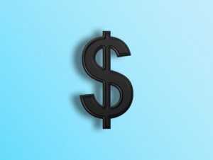 Photo Software Pricing Models