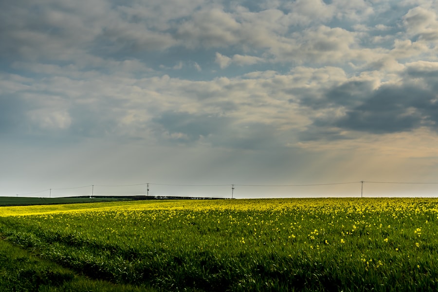 Photo energy and climate monitoring technologies