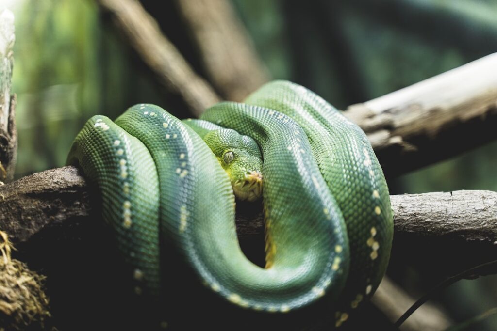 Photo PHP to Nodejs or Python Conversion