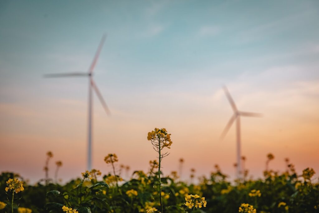 Photo clean energy