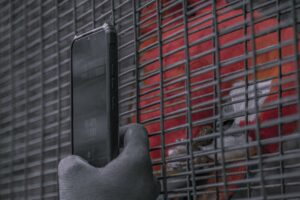 Photo protect data smartphone