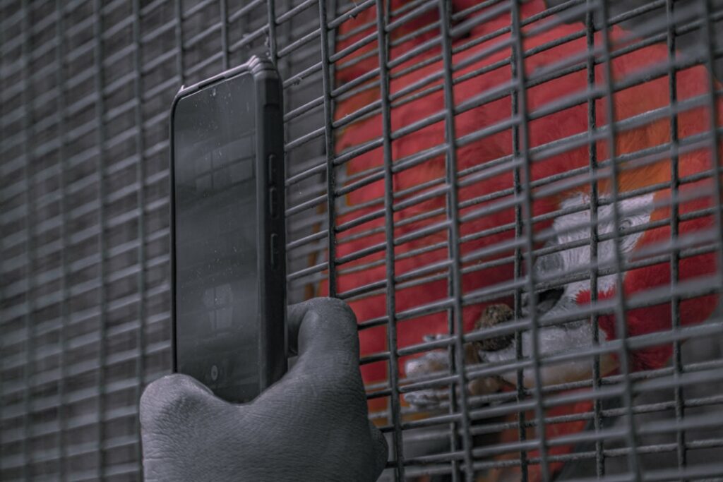 Photo "phone to e-reader"