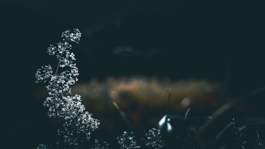 Photo Podcast and Artificial Intelligence
