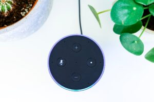 Photo Voice Assistants