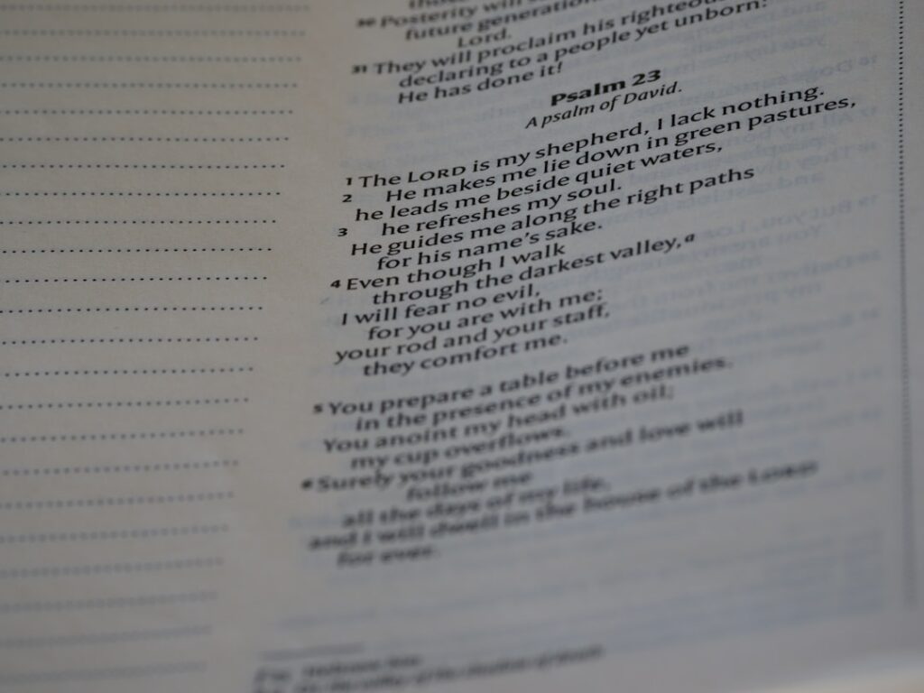 Photo Create Exam Questions