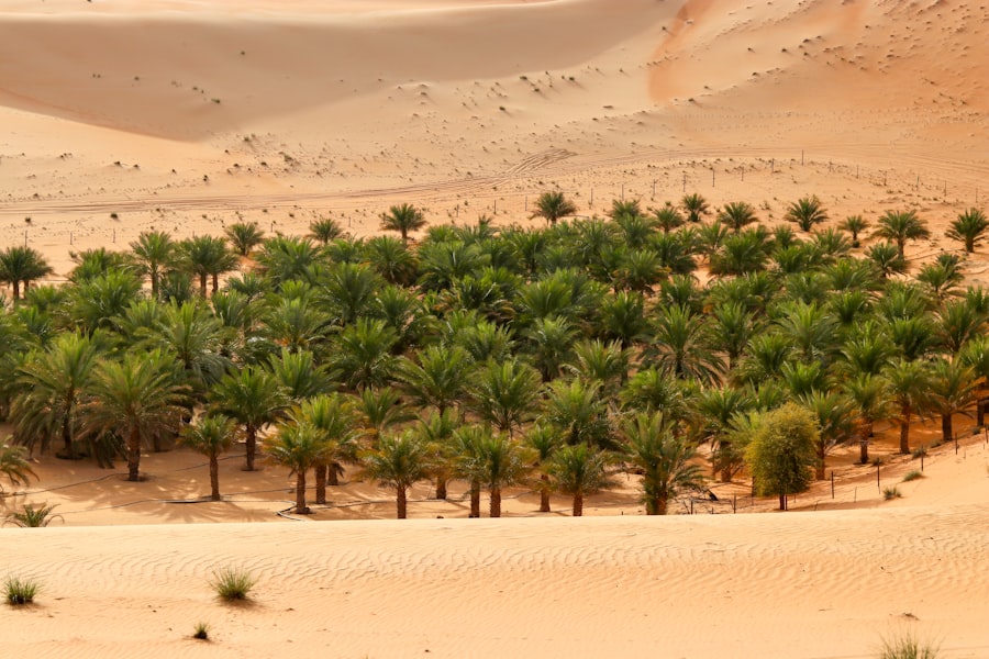 Arab countries open source linguistic models