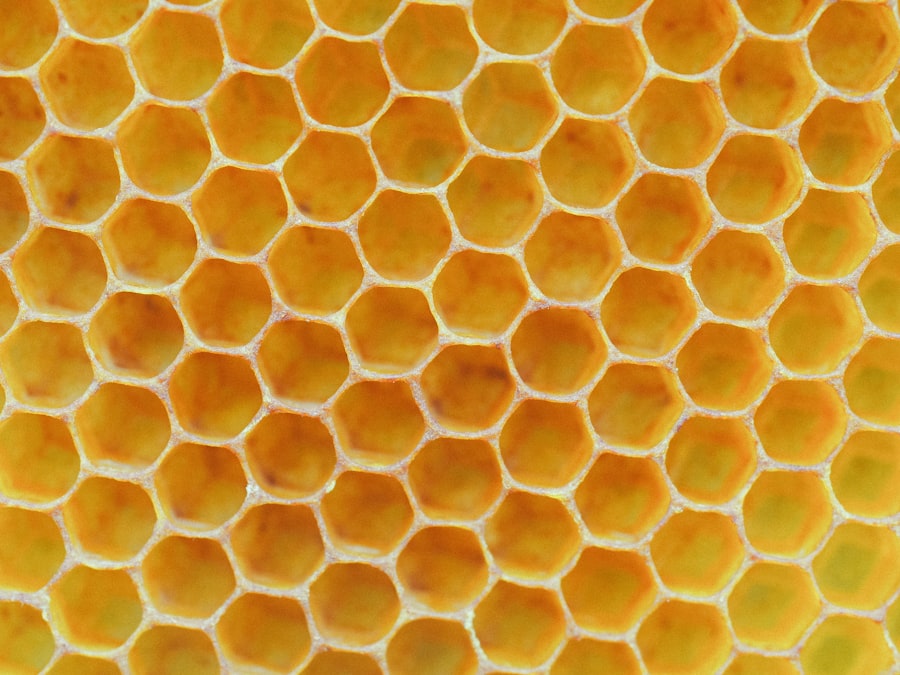 APIs