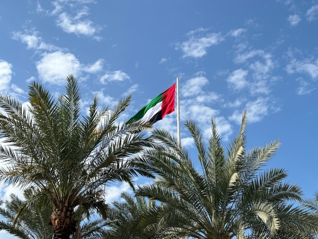 Photo Arab countries open source linguistic models