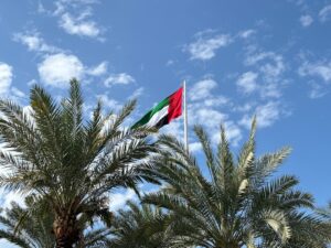 Photo Arab countries open source linguistic models
