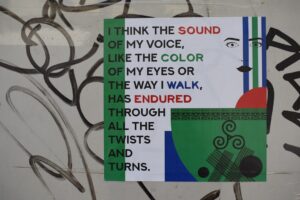 Photo Share of Voice