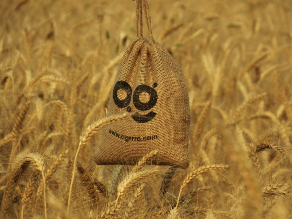 Photo domain name