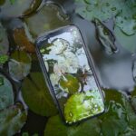 Photo "phone water damage"