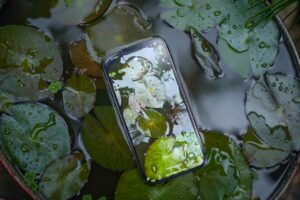 Photo "phone water damage"