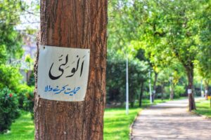 Photo "تقييمات"