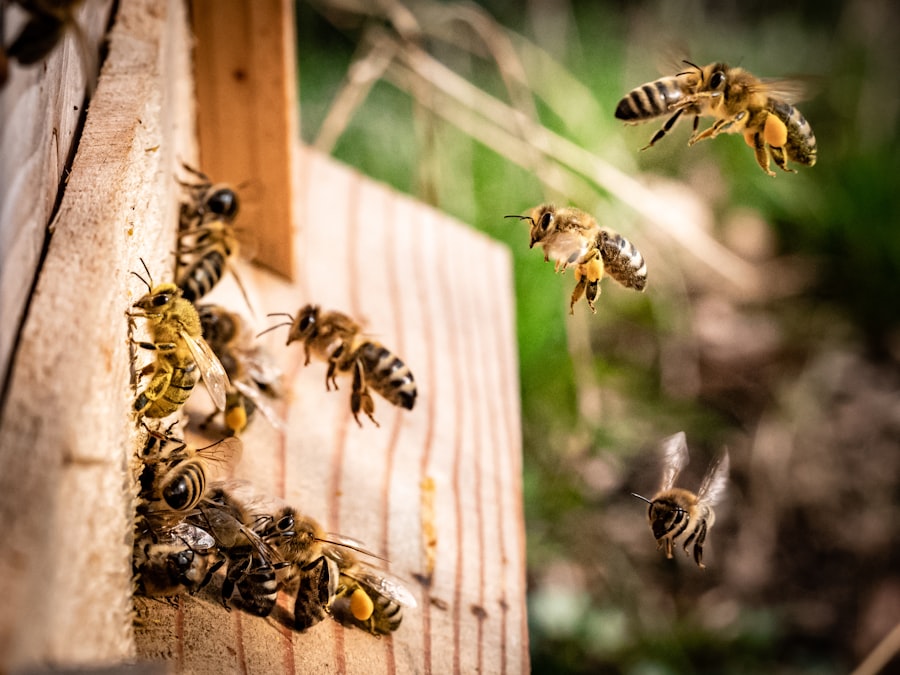 APIs