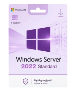 Windows SERVER 2022 STANDARD