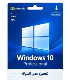 Windows 10 Professional
