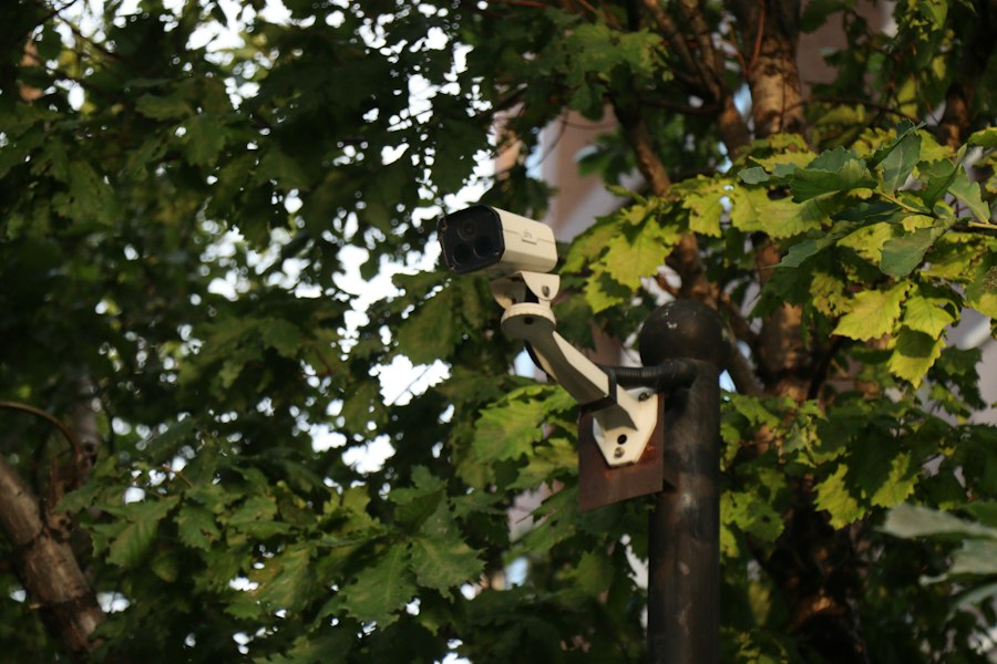 Photo security monitoring system